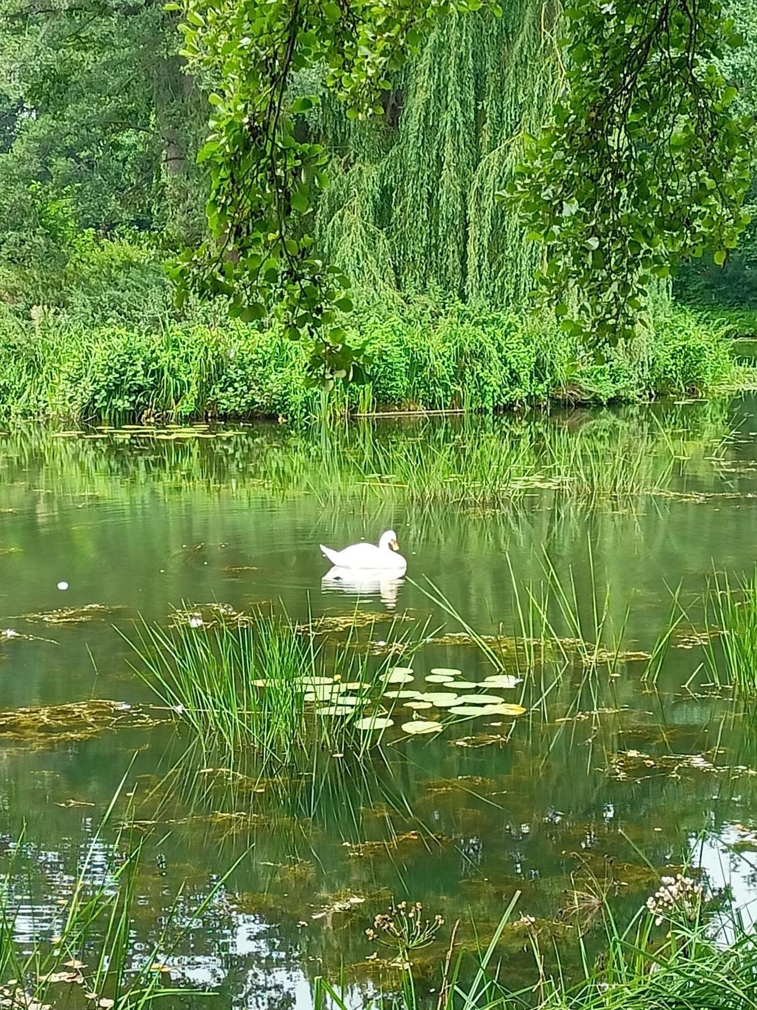 ,,Zielona Przystan Nad Morzem" Gdansk - Przymorze Apartment Bagian luar foto