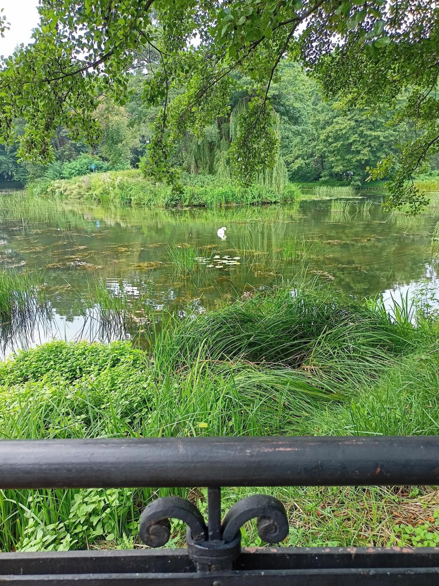 ,,Zielona Przystan Nad Morzem" Gdansk - Przymorze Apartment Bagian luar foto
